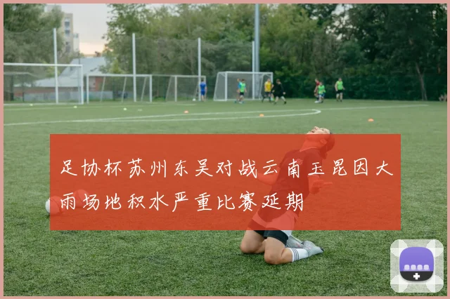 足协杯苏州东吴对战云南玉昆因大雨场地积水严重比赛延期