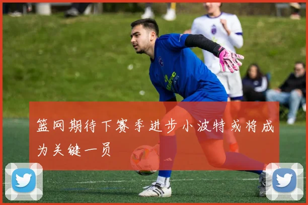 篮网期待下赛季进步小波特或将成为关键一员
